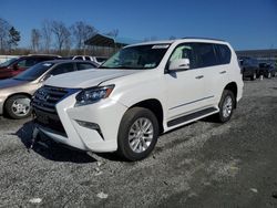 Salvage cars for sale at Spartanburg, SC auction: 2017 Lexus GX 460