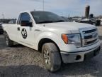 2013 Ford F150