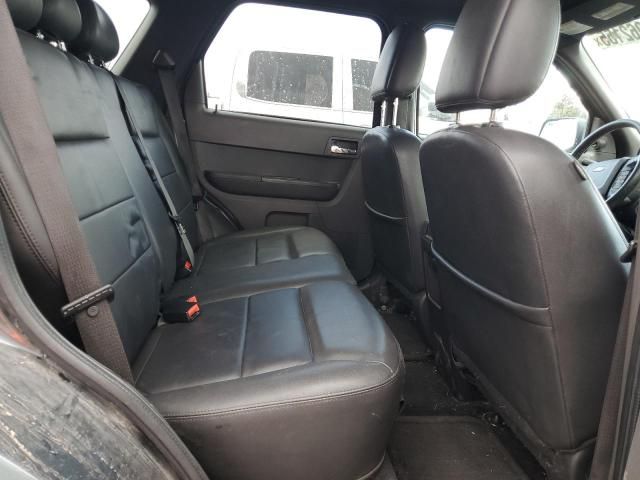 2008 Ford Escape Limited