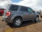 2012 Ford Escape XLS