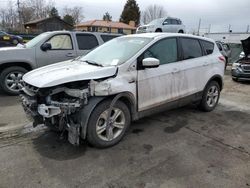 Salvage cars for sale at Denver, CO auction: 2016 Ford Escape SE