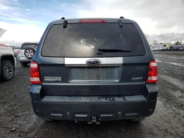 2008 Ford Escape Limited