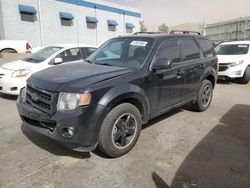 Salvage cars for sale from Copart Albuquerque, NM: 2010 Ford Escape XLT