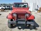 1994 Jeep Wrangler / YJ S