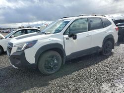 Salvage cars for sale at Eugene, OR auction: 2023 Subaru Forester Wilderness