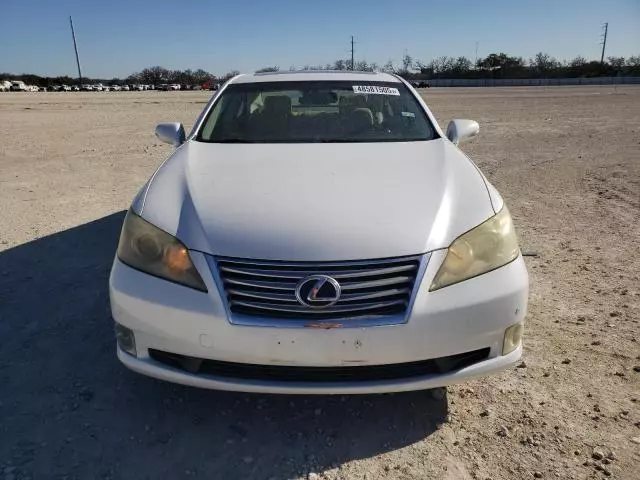 2010 Lexus ES 350