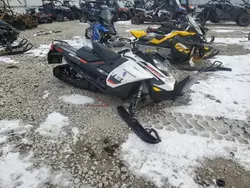 Salvage motorcycles for sale at Appleton, WI auction: 2019 Skidoo 2019 Skidoo Renegade