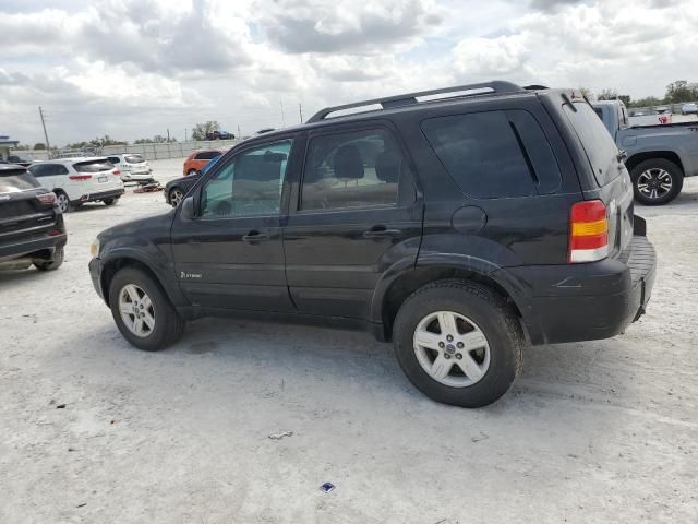 2007 Ford Escape HEV