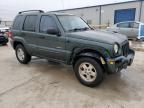 2002 Jeep Liberty Limited