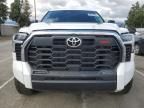 2023 Toyota Tundra Crewmax SR