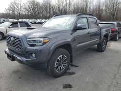 Salvage cars for sale at Glassboro, NJ auction: 2022 Toyota Tacoma Double Cab