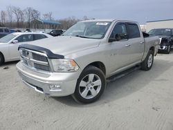 Salvage cars for sale at Spartanburg, SC auction: 2009 Dodge RAM 1500