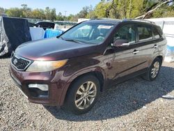 Salvage cars for sale at Riverview, FL auction: 2011 KIA Sorento SX