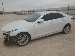 Salvage cars for sale at Andrews, TX auction: 2021 Cadillac CT4 Luxury