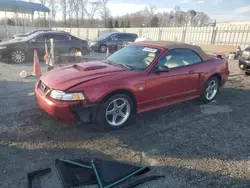 Salvage cars for sale at Spartanburg, SC auction: 2004 Ford Mustang GT