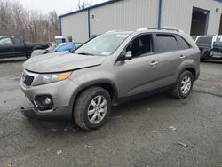 KIA salvage cars for sale: 2013 KIA Sorento LX