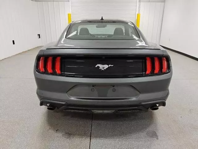 2023 Ford Mustang