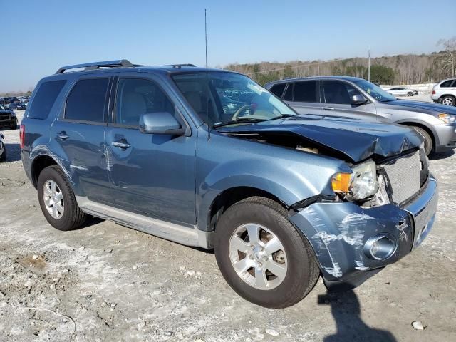 2010 Ford Escape Limited