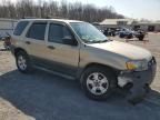 2007 Ford Escape XLT