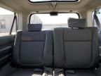 2004 Honda Element EX