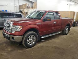 2014 Ford F150 Super Cab en venta en Ham Lake, MN