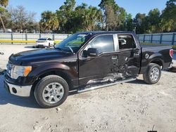 Salvage cars for sale at Fort Pierce, FL auction: 2013 Ford F150 Supercrew