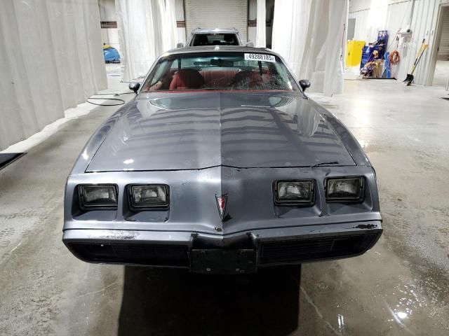 1981 Pontiac Firebird