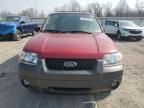 2006 Ford Escape XLT