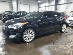 Salvage cars for sale at Ham Lake, MN auction: 2013 Hyundai Veloster