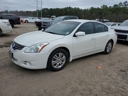 Salvage cars for sale at Greenwell Springs, LA auction: 2011 Nissan Altima Base