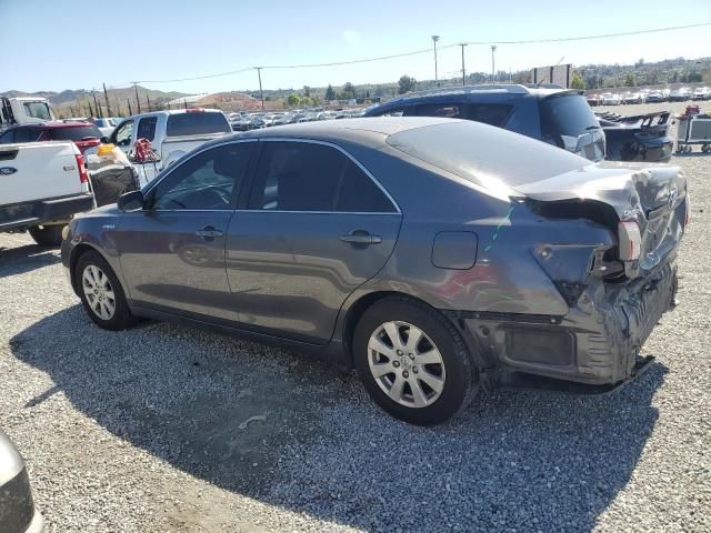 2007 Toyota Camry Hybrid