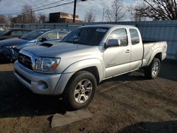 Salvage trucks for sale at New Britain, CT auction: 2005 Toyota Tacoma Access Cab