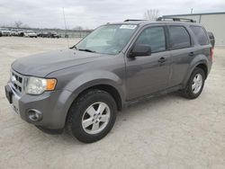 Salvage cars for sale at Kansas City, KS auction: 2011 Ford Escape XLT