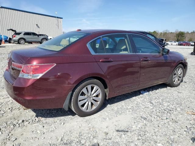 2011 Honda Accord EXL