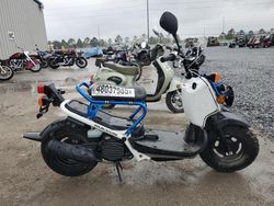 Salvage motorcycles for sale at Riverview, FL auction: 2023 Honda NPS50