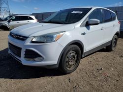 Salvage cars for sale at Adelanto, CA auction: 2014 Ford Escape SE