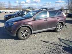 Salvage cars for sale at Arlington, WA auction: 2016 Toyota Rav4 XLE