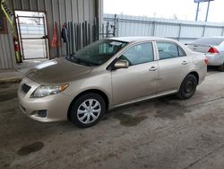 Salvage cars for sale at Fort Wayne, IN auction: 2010 Toyota Corolla Base