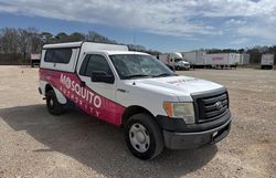 Salvage trucks for sale at Tanner, AL auction: 2010 Ford F150