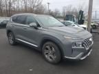 2023 Hyundai Santa FE SEL Premium