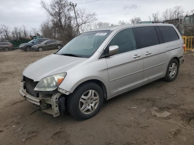 2005 Honda Odyssey EXL