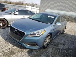 Hyundai Vehiculos salvage en venta: 2016 Hyundai Sonata Hybrid