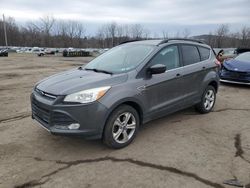 Salvage cars for sale at Marlboro, NY auction: 2015 Ford Escape SE