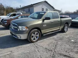 Salvage trucks for sale at York Haven, PA auction: 2013 Dodge RAM 1500 SLT