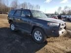 2024 Toyota 4runner SR5/SR5 Premium