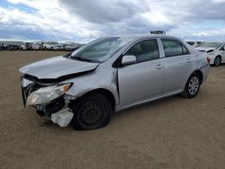 Toyota salvage cars for sale: 2010 Toyota Corolla Base