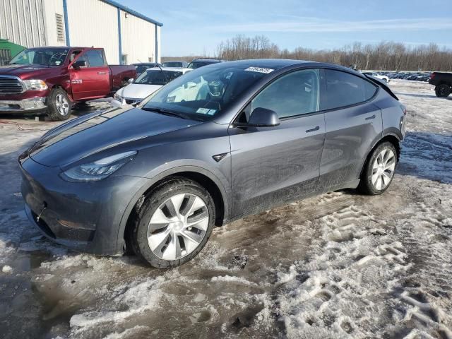 2020 Tesla Model Y