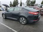 2013 KIA Optima Hybrid