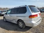 2004 Honda Odyssey EXL