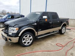 Salvage cars for sale at Lawrenceburg, KY auction: 2014 Ford F150 Supercrew